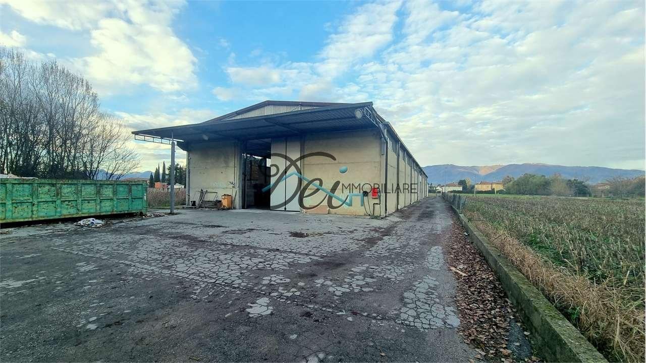 Vendita vendita, Capannori foto