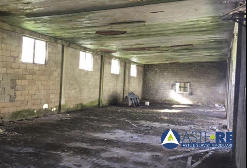 Vendita Multivani, Cisterna di Latina foto