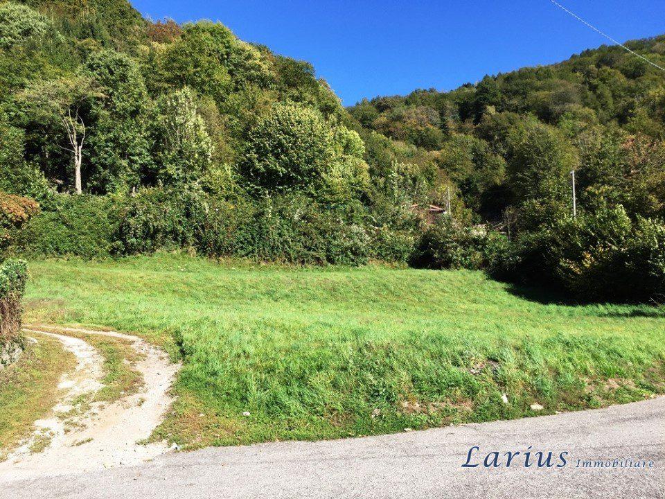 Vendita Loft, mansarde e attici, Valbrona foto