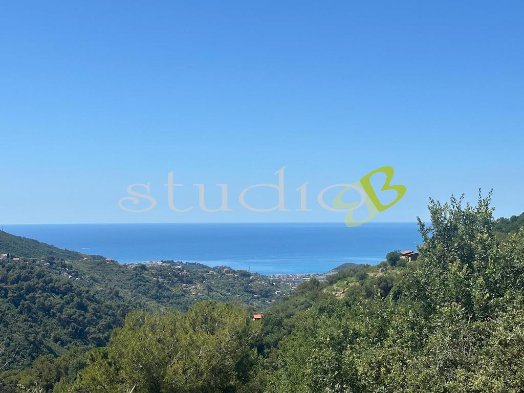 Vendita vendita, Vallebona foto