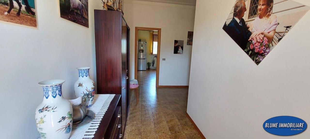 Verkauf Villa, Camaiore foto