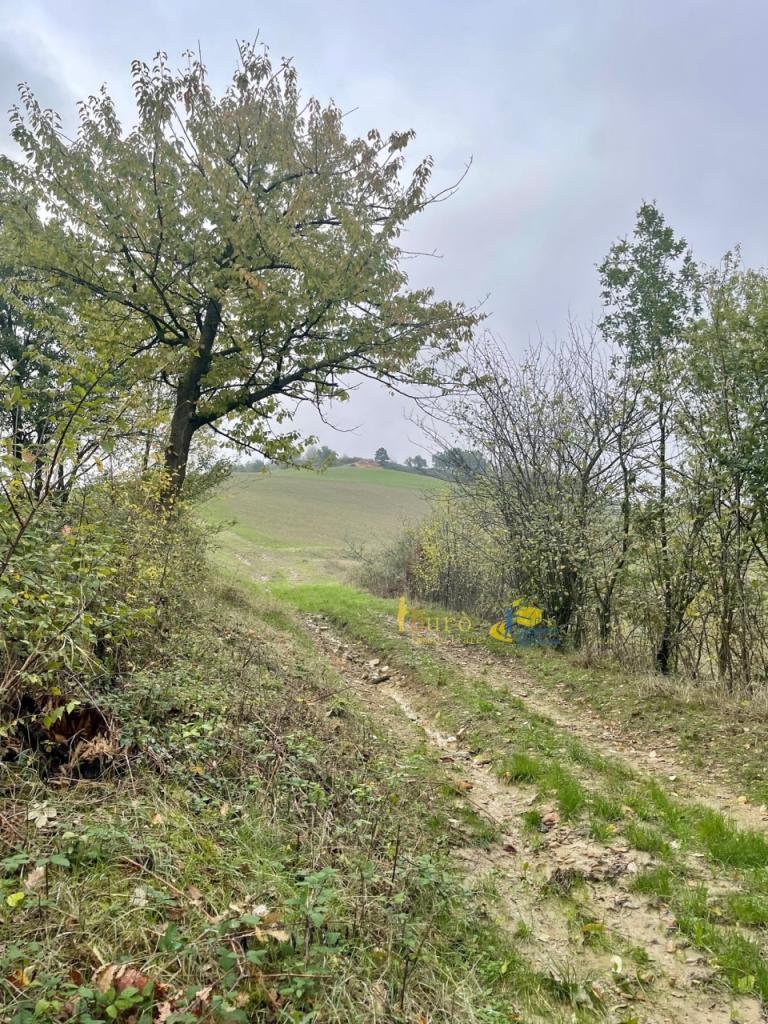 Vendita Terreni, Parma foto