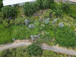 Verkauf Land, Ventimiglia Verkauf Land, Ventimiglia