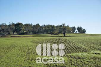 Verkauf Capannone, Cesenatico Verkauf Capannone, Cesenatico