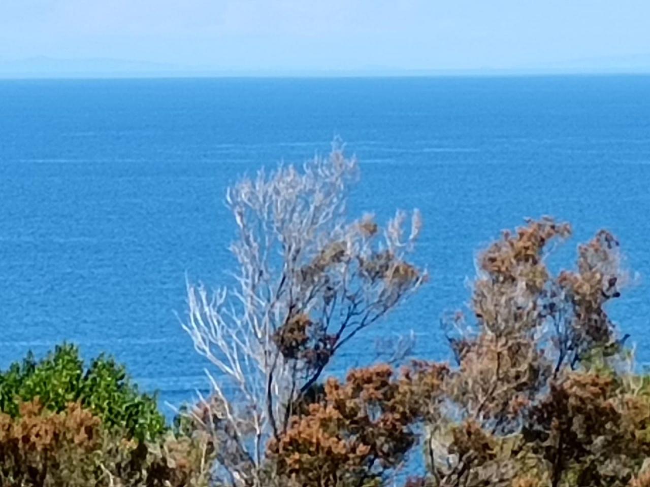 Vendita Villa, Marciana foto