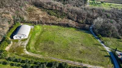 Vendita INDUSTRIALE, Scarperia e San Piero Vendita INDUSTRIALE, Scarperia e San Piero