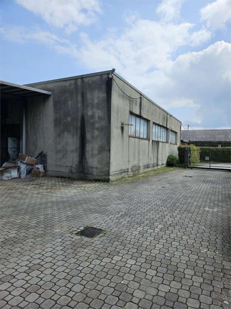 Vendita vendita, Lambrugo foto