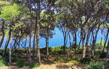 Verkauf Pentavani, Rio Verkauf Pentavani, Rio