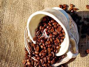 Vendita Trivani, Sant'Ambrogio di Valpolicella