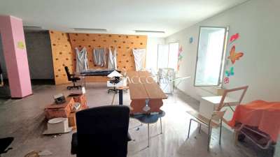 Vendita Trivani, Treviso Vendita Trivani, Treviso