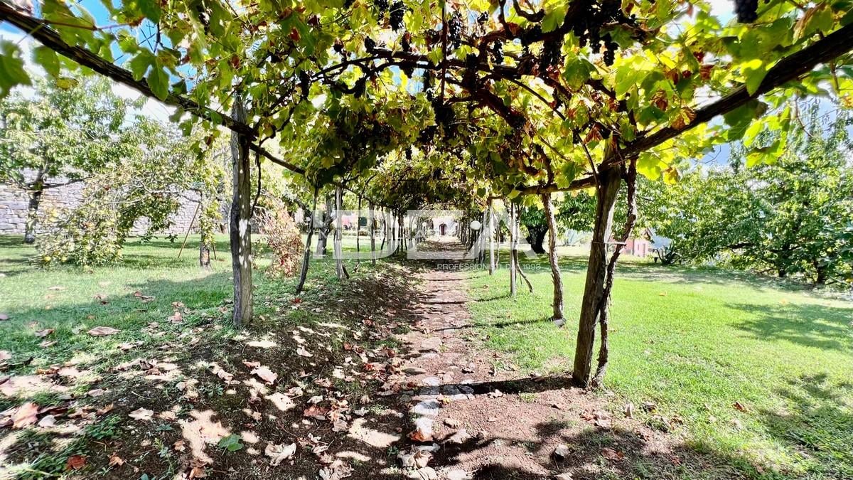 Vendita Eptavani, Barga foto