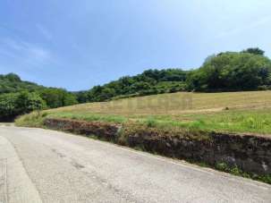 Venta Roomed, Chiampo