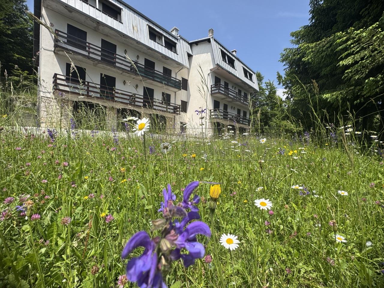 Vendita Quadrivani, Lusiana Conco foto