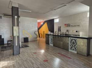 Affitto Oltre 5 vetrine, Montesilvano