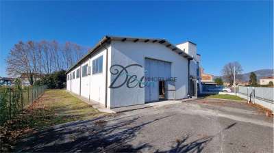 Vendita vendita, Capannori