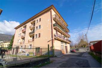 Vendita vendita, Erba Vendita vendita, Erba