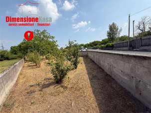 Vendita vendita, Nola Vendita vendita, Nola