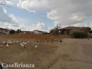 Affitto Appartamento, Sovico