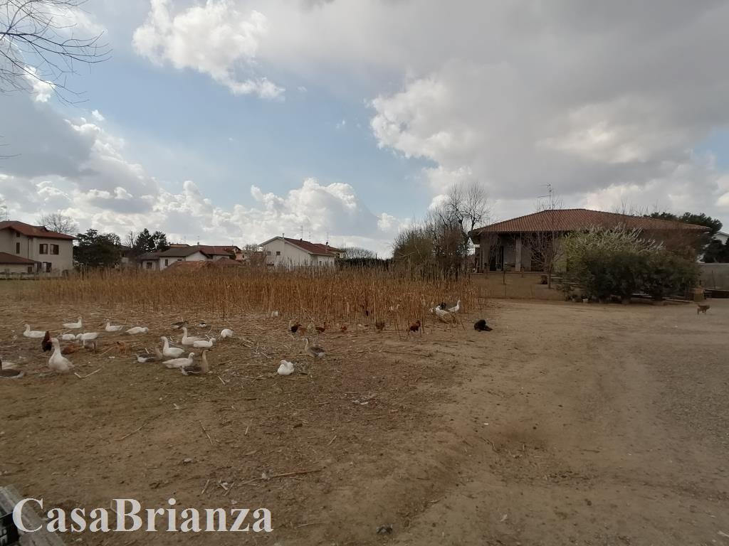 Affitto Appartamento, Sovico foto