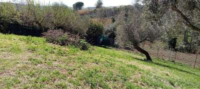 Vendita Altri immobili, Silvi