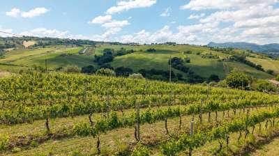Vendita Altri immobili, Serra de' Conti