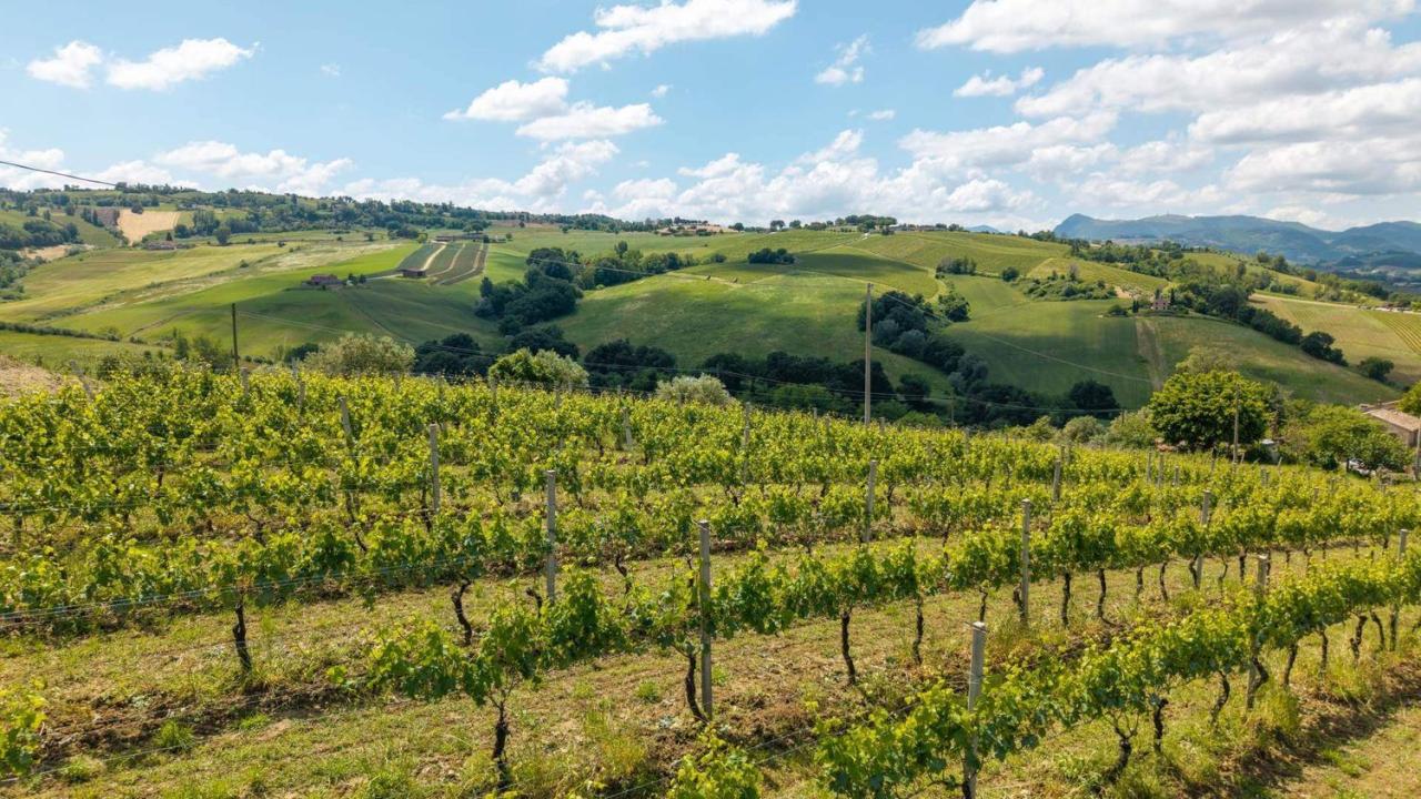 Vendita Altri immobili, Serra de' Conti foto