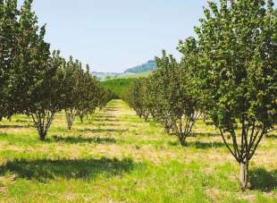 Vendita Altri immobili, Ficulle Vendita Altri immobili, Ficulle