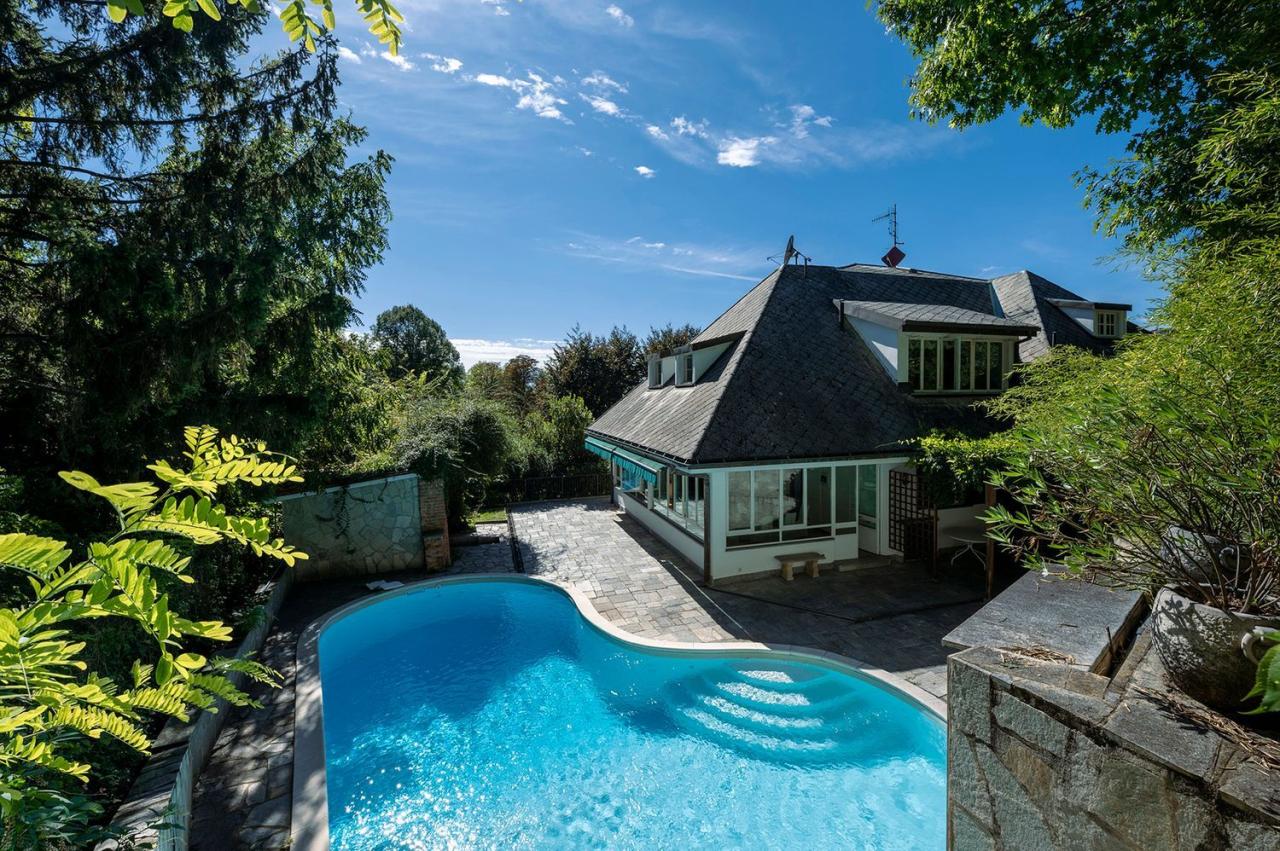 Vendita Multivani, Moncalieri foto