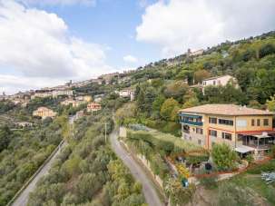 Vendita Multivani, Cortona Vendita Multivani, Cortona