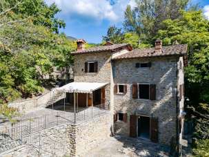 Vendita Terreni, Cortona