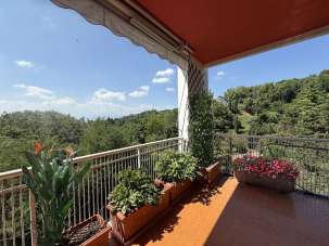 Vendita Quadrivani, Moncalieri