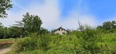 Vendita Multivani, Villafranca d'Asti Vendita Multivani, Villafranca d'Asti