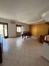 Vendita Trivani, Vasto