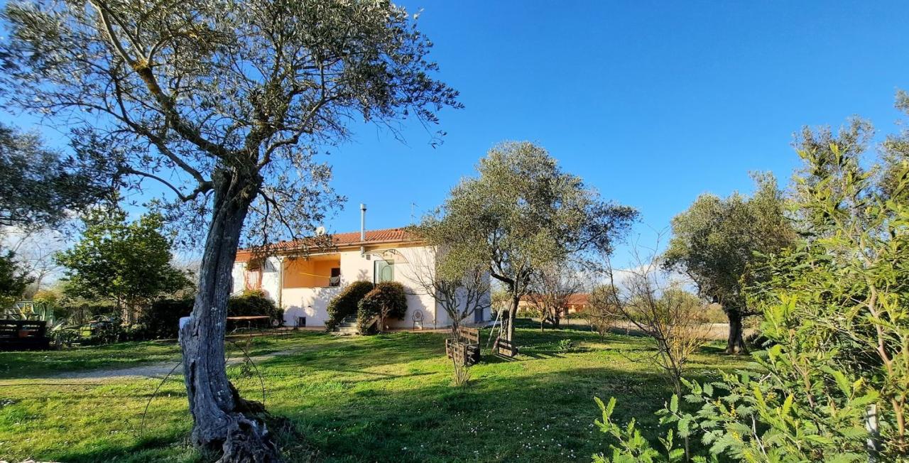 Vendita Trivani, Vitorchiano foto