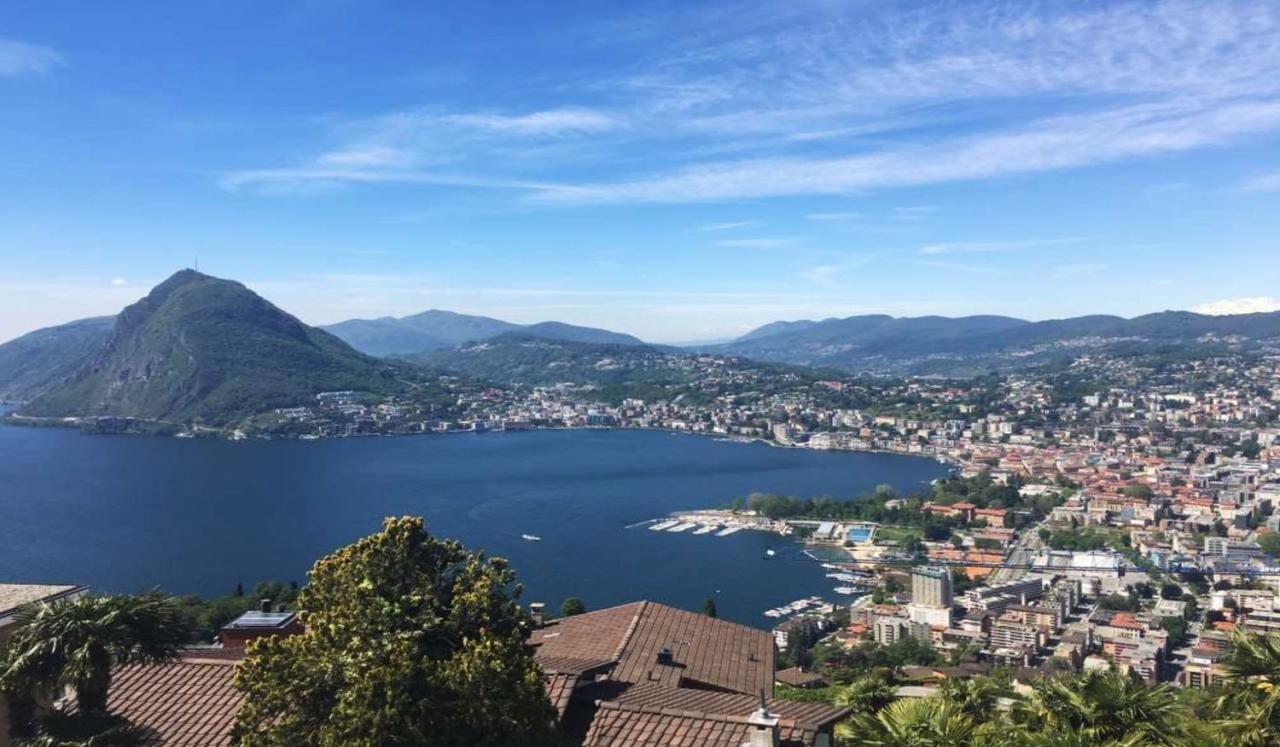 Vendita Eptavani, Torino foto