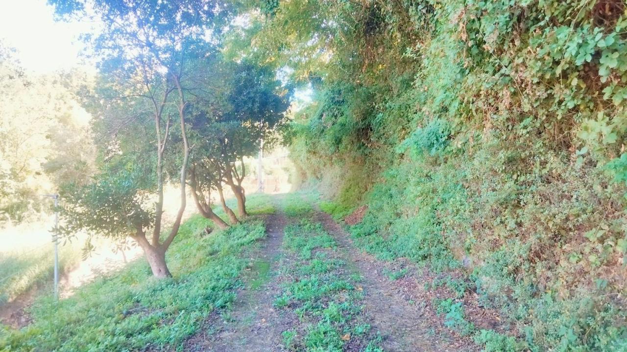 Vendita Altri immobili, Cava de' Tirreni foto