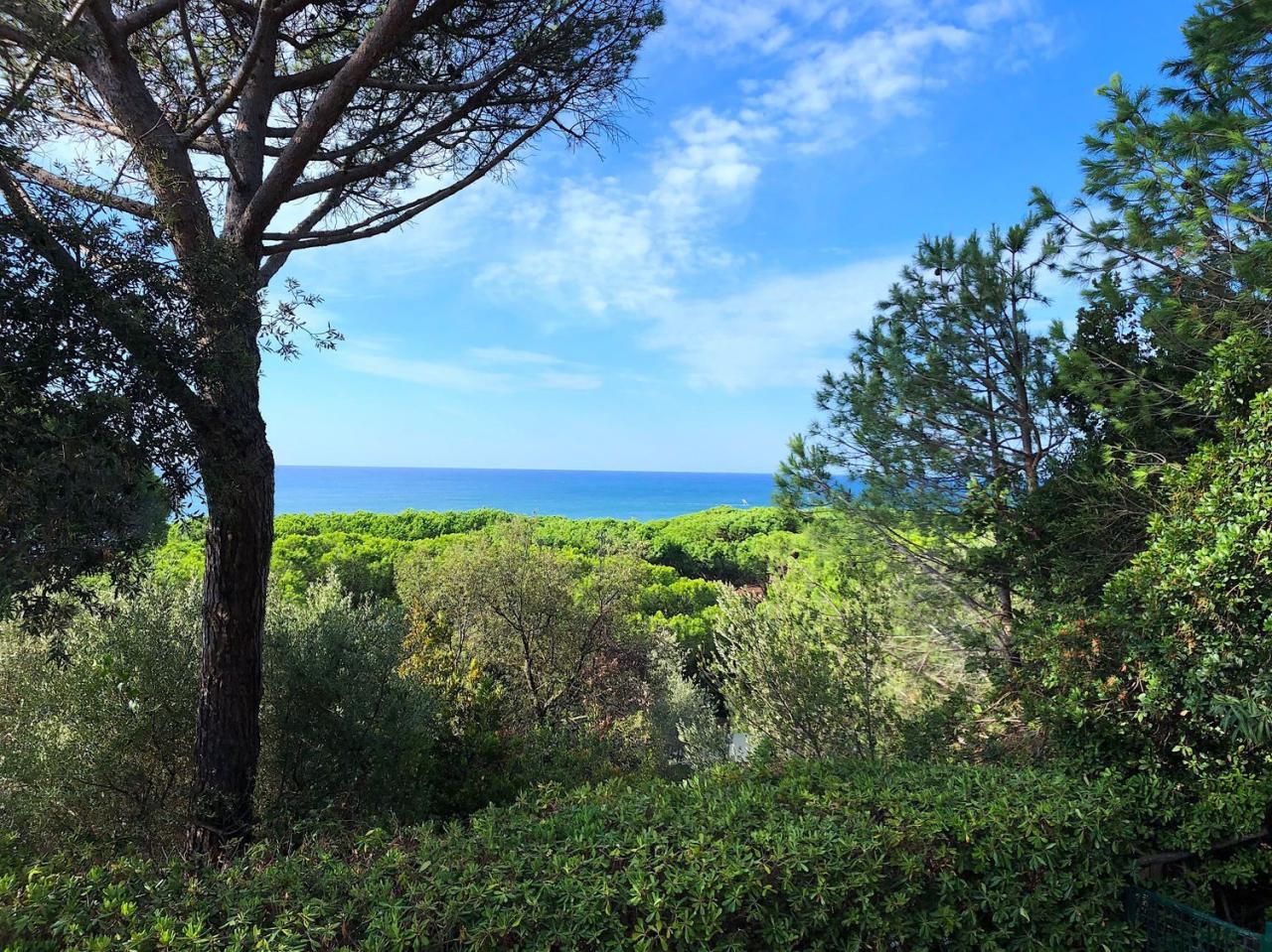 Affitto Multivani, Castiglione della Pescaia foto
