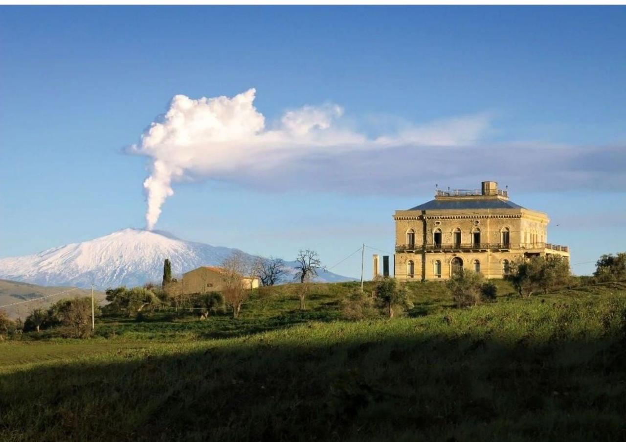 Vendita Multivani, Nicosia foto