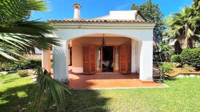 Vendita Pentavani, Diamante