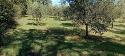 Vendita Altri immobili, Castel Viscardo Vendita Altri immobili, Castel Viscardo