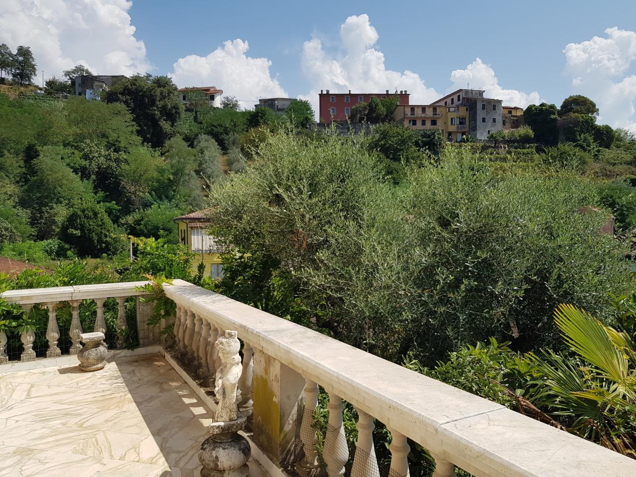 Vendita Multivani, Carrara foto