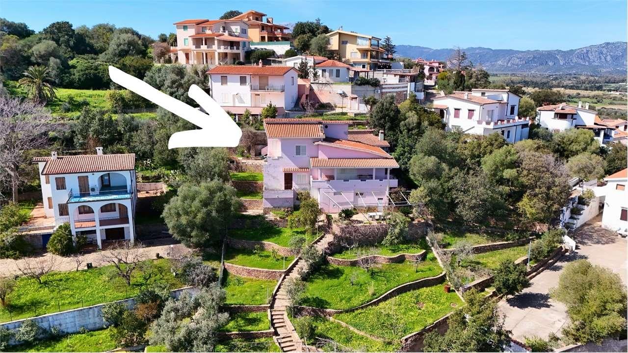 Vendita vendita, Siniscola foto