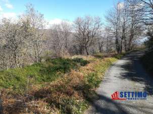 Vendita Loft, mansarde e attici, Savoca
