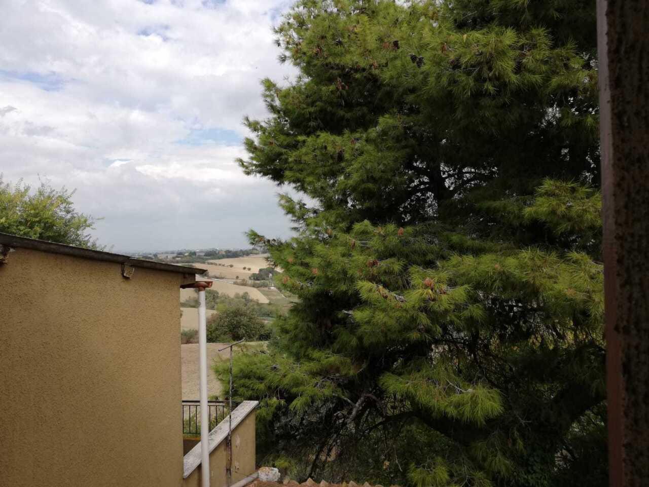 Vendita Esavani, San Marcello foto