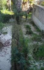 Vendita Esavani, Jesi