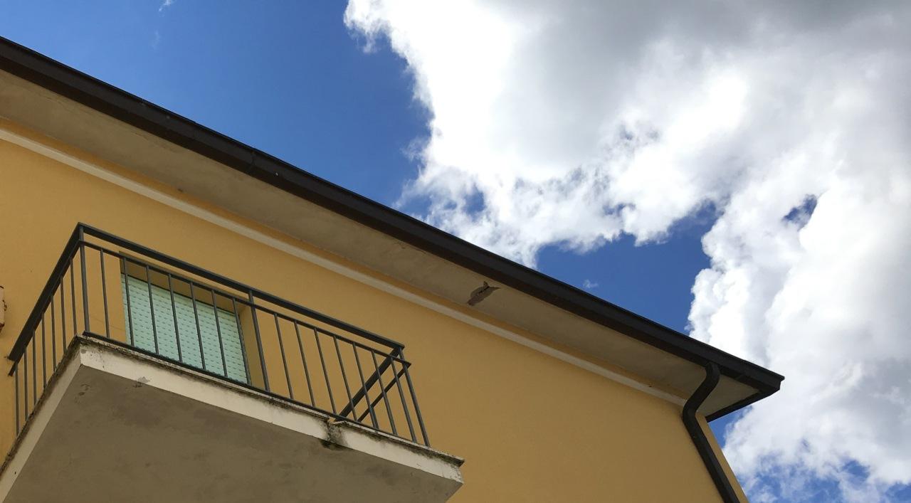 Vendita Case, Jesi foto