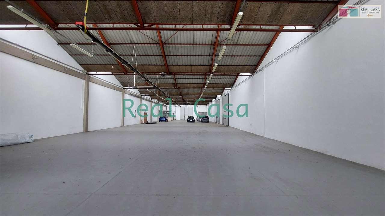 Affitto affitto, Modena foto