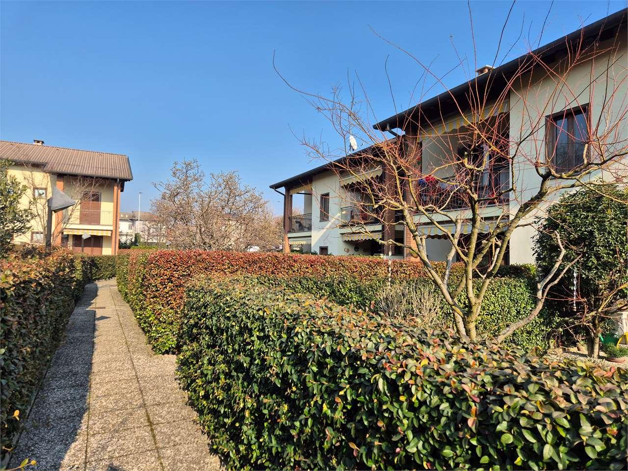 Affitto affitto, Alzate Brianza foto