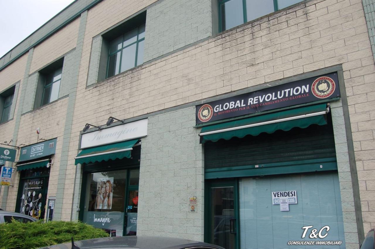 Vendita Multivani, Pinerolo foto