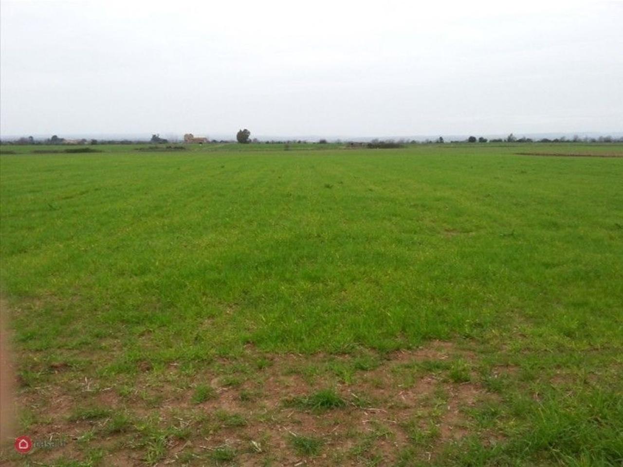 Vendita Altri immobili, Bagnoregio foto